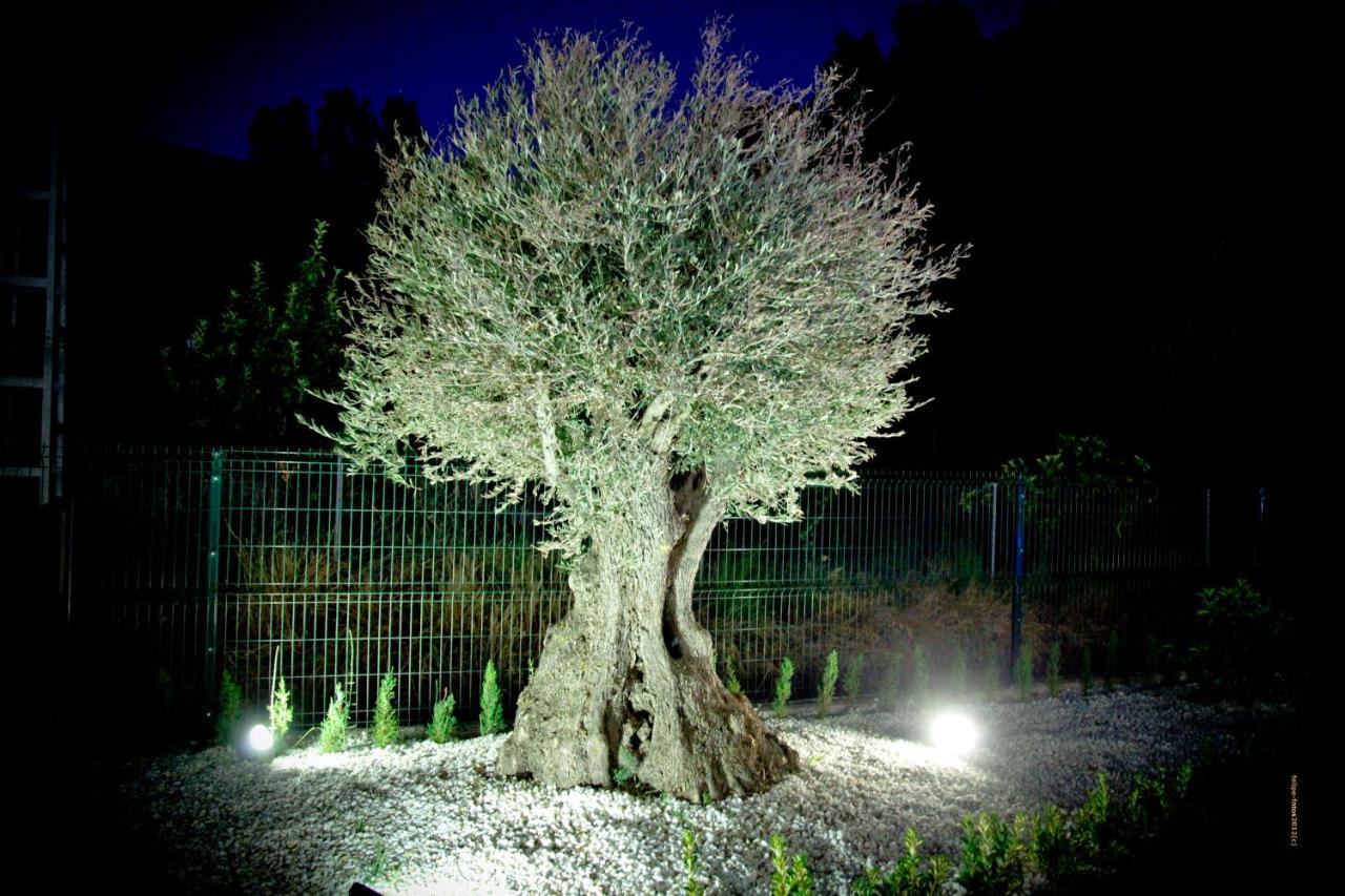 Casas Rurales Los Olivos อัลกาลา เดล ฆูการ์ ภายนอก รูปภาพ